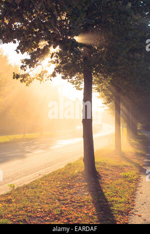 Les rayons du soleil à côté d'une route Banque D'Images