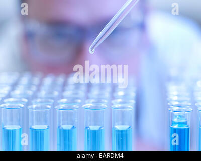 Assistant de laboratoire des gouttes de liquide à l'aide d'une pipette dans les tubes à essai, Allemagne Banque D'Images