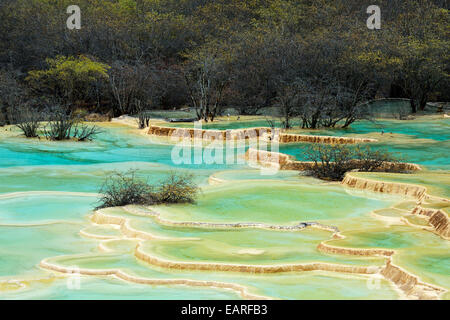 Terrasses de la chaux avec des lacs, le Parc National de Huanglong, province du Sichuan, Chine Banque D'Images