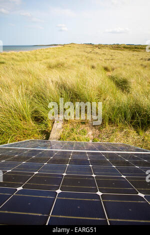 Un panneau solaire génère de l'électricité pour alimenter une clôture électrique qui protège une colonie de Sternes arctiques et peu près de Newton, Bas Norhumberland, UK. Banque D'Images