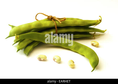 Accueil haricot vert sur blanc Banque D'Images