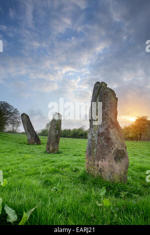 Harold's Stones dans le village de Trellech. Banque D'Images