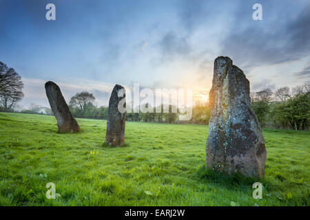 Harold's Stones dans le village de Trellech. Banque D'Images