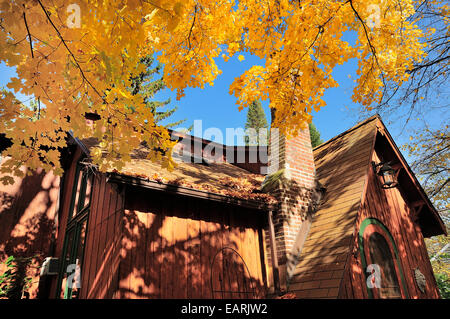 Norway maple tree cottage en bois d'encadrement. Banque D'Images