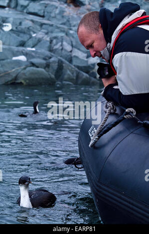 Un touriste observe un curieux Shag Antarctique à partir d'un bateau gonflable. Banque D'Images