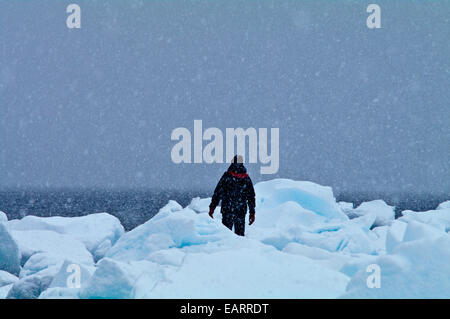 Un homme randonnées dans une tempête sur une île couverte de la rive dans les icebergs. Banque D'Images