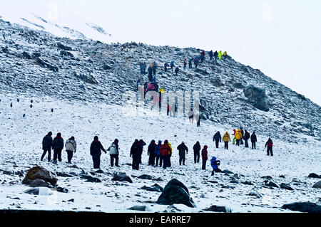 Les touristes randonnée au sommet d'une montagne glacée robuste dans un seul fichier. Banque D'Images