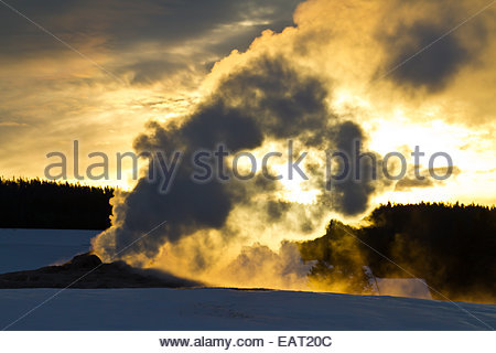 Les panaches de vapeur à partir de Old Faithful Geyser au coucher du soleil. Banque D'Images