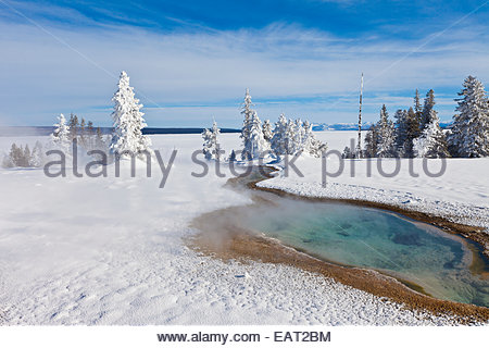 La vapeur s'élève à partir d'un hot spring entouré par un paysage de neige. Banque D'Images