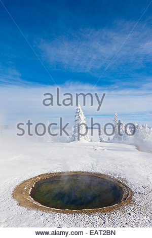 La vapeur s'élève à partir d'un hot spring dans un paysage enneigé. Banque D'Images