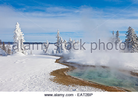 La vapeur s'élève à partir d'un hot spring dans un paysage enneigé. Banque D'Images