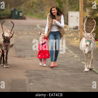 ZSL, le Zoo de Londres, Regent's Park, Royaume-Uni. 20 novembre, 2014. Imogen Thomas modèle et sa fille Ariana commencer la saison de fête off au Zoo et rencontrez le père Noël le renne. Credit : Malcolm Park editorial/Alamy Live News Banque D'Images