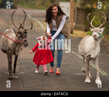 ZSL, le Zoo de Londres, Regent's Park, Royaume-Uni. 20 novembre, 2014. Imogen Thomas modèle et sa fille Ariana commencer la saison de fête off au Zoo et rencontrez le père Noël le renne. Credit : Malcolm Park editorial/Alamy Live News Banque D'Images