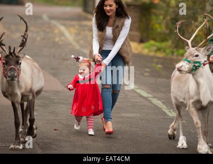 ZSL, le Zoo de Londres, Regent's Park, Royaume-Uni. 20 novembre, 2014. Imogen Thomas modèle et sa fille Ariana commencer la saison de fête off au Zoo et rencontrez le père Noël le renne. Credit : Malcolm Park editorial/Alamy Live News Banque D'Images