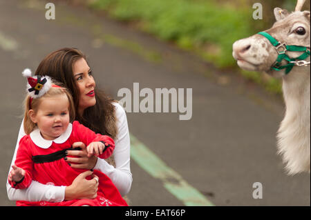 ZSL, le Zoo de Londres, Regent's Park, Royaume-Uni. 20 novembre, 2014. Imogen Thomas modèle et sa fille Ariana commencer la saison de fête off au Zoo et rencontrez le père Noël le renne. Credit : Malcolm Park editorial/Alamy Live News Banque D'Images