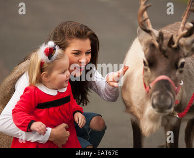 ZSL, le Zoo de Londres, Regent's Park, Royaume-Uni. 20 novembre, 2014. Imogen Thomas modèle et sa fille Ariana commencer la saison de fête off au Zoo et rencontrez le père Noël le renne. Credit : Malcolm Park editorial/Alamy Live News Banque D'Images