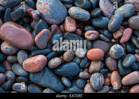 Close up de cailloux colorés humide sur la plage de galets à marée basse Banque D'Images