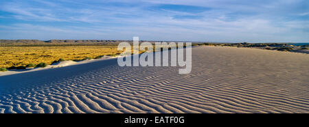 Les ondulations du vent sur la surface d'un désert de dunes de sable côtières au coucher du soleil. Banque D'Images