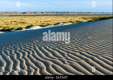 La fin de l'après-midi les rayons du soleil sur les ondes sur une dune de sable. Banque D'Images