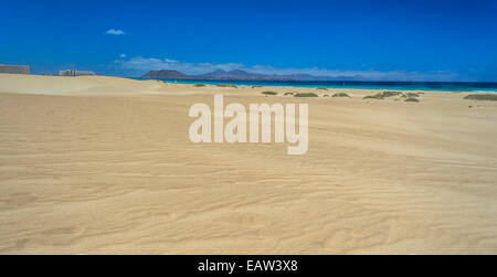 Dunes de sable à la plage de Corralejo, Fuerteventura Island, Espagne Banque D'Images