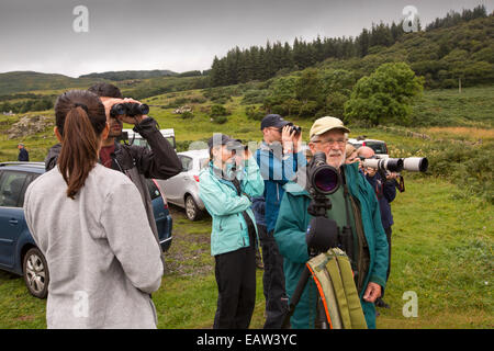 Une tournée de la faune sur l'île de Mull montrant les îles la faune pour les touristes, Isle of Mull, Scotland, UK. Banque D'Images