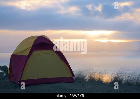 Le camping sauvage sur l'Angel Island dans la baie de San Francisco Banque D'Images