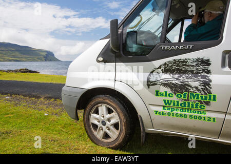 Une tournée de la faune sur l'île de Mull van montrant les îles la faune pour les touristes, Isle of Mull, Scotland, UK. Banque D'Images