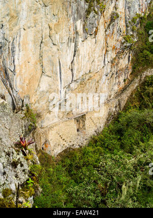 Le sentier qui traverse le côté de montaña Machu picchu avant d'arriver au pont-levis incas et une entrée arrière à machu pi Banque D'Images