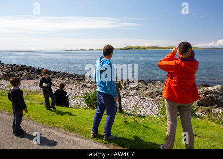 Une tournée de la faune sur l'île de Mull montrant les îles la faune pour les touristes, Isle of Mull, Scotland, UK. Banque D'Images