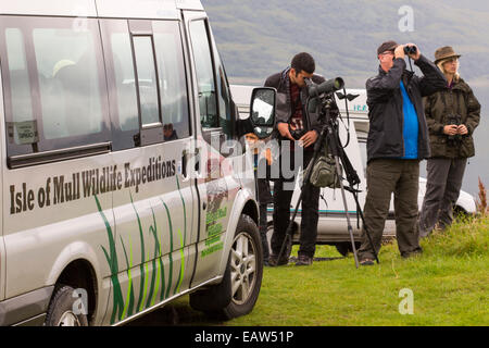 Une tournée de la faune La faune de l'entreprise montrant aux touristes sur l'île de Mull, Ecosse, Royaume-Uni. Banque D'Images