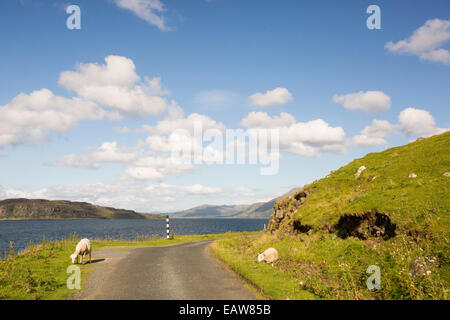 Une seule piste route autour de Loch Na Keal, sous Ben plus sur Mull, Ecosse, Royaume-Uni. Banque D'Images