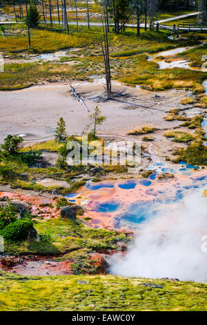 Les paysages pittoresques de l'activité géothermique de Parc National de Yellowstone USA, Mammoth Paintpots Banque D'Images