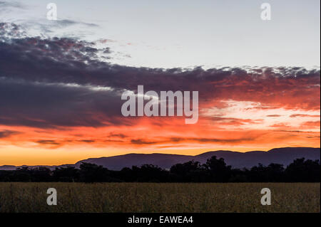 Un coucher de soleil flamboyant d'incandescence sur une plaine de savane de graminées. Banque D'Images