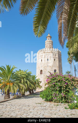 Séville - La tour médiévale Torre del Oro Banque D'Images