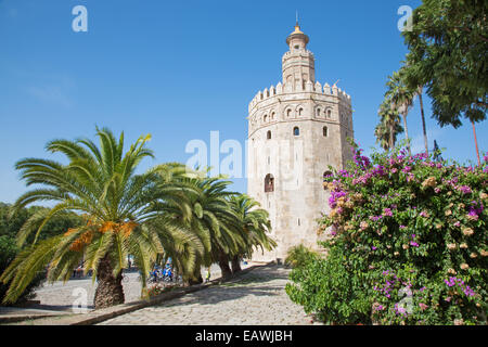 Séville - La tour médiévale Torre del Oro Banque D'Images