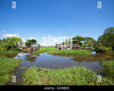 Fermes entre un canal et les champs de riz au Delta de l'Irrawaddy, dans le sud du Myanmar Banque D'Images