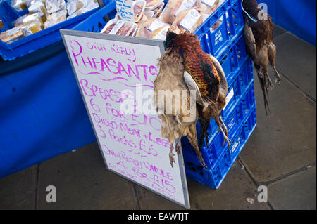 Faisans en vente sur stand à Édimbourg Farmers Market en centre-ville Edinburgh Scotland UK Banque D'Images