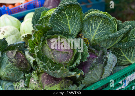 Des légumes cultivés pour la vente sur stand à Édimbourg Farmers Market en centre-ville Edinburgh Scotland UK Banque D'Images