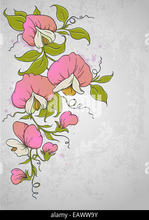 Vintage floral background avec pois doux Banque D'Images