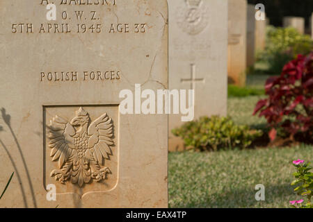 Beyrouth Liban. 21 novembre 2014. Une pierre tombale du soldat appartenant à des forces polonaises ont enterré dans le cimetière de guerre britannique à Beyrouth Liban qui est maintenu par la Commission des sépultures du Commonwealth Credit : amer ghazzal/Alamy Live News Banque D'Images