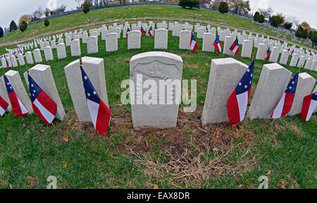 Un objectif fisheye view de pierres tombales militaires avec des drapeaux américains à Chypre Hills National Cemetery de Brooklyn, New York Banque D'Images