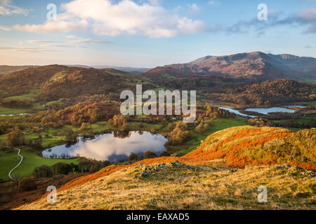 Vue sur Loughrigg Tarn au lever du soleil depuis le sommet de Loughrigg Fell, à l'échelle de l'eau vers l'Tilberthwaite Elter Banque D'Images