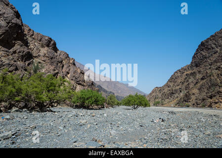 Un lit de rivière à sec, l'oued, dans la région de montagne. L'Oman. Banque D'Images