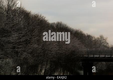 Arbres couvertes de glace et brosser l'une route avec un passage supérieur de pont par une froide et glacée jour couvert. Banque D'Images