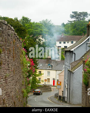 Petite route qui serpente dans la ville pittoresque de gallois de Brecon, passé vieux chalets et les hauts murs de pierre avec des fleurs rouges Banque D'Images