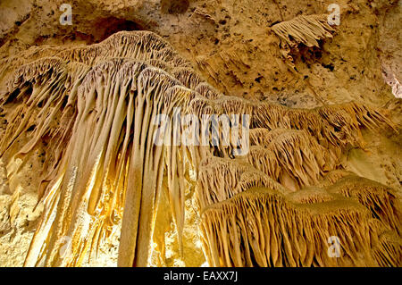 Carlsbad Caverns National Park, États-Unis Banque D'Images