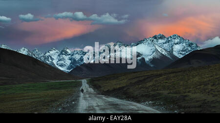 Gamme de montagne du plateau tibétain au coucher du soleil, la province de Qinghai, Chine Banque D'Images