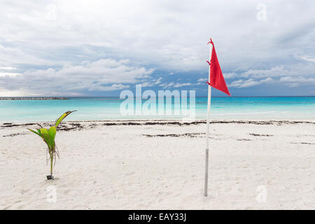 Lifeguard drapeau sur la plage des Caraïbes, Cancun, Mexique Banque D'Images