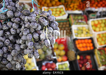 Le raisin noir accroché sur un fond coloré de fruits. Banque D'Images