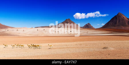 Panorama de l''Salvador Dali' du désert dans les montagnes de Bolivie Banque D'Images